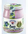 VIPITENO YOGURT BIOLOGICO MIRTILLO GR.150