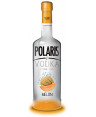 POLARIS VODKA MELONE 25° LT.1