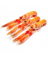 SCAMPI PICCOLI 21/30 SURGELATI GR.500 