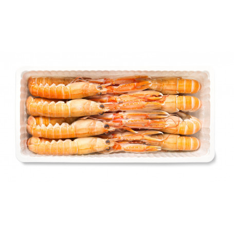 Copia di Copia di SCAMPI PICCOLI 21/30 SURGELATI GR.500 