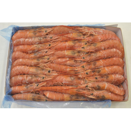 Copia di GAMBERI ARGENTINI 30/40 L/3 SURGELATI KG.2