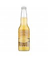 CORONA EXTRA BIRRA BOTTIGLIA CL 35,5