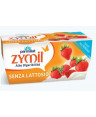 ZYMIL YOGURT FRAGOLA 2X125GR