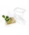 KRYSTAL PARTY MINI CASSERUOLA CON COPERCHIO FINGER FOOD PZ.12