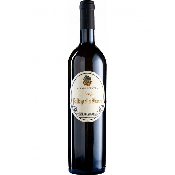 VESTINI CAMPAGNANO PALLAGRELLO BIANCO IGT CL75