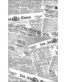 LE CARTINE CARTA ANTIGRASSO JORNAL GIORNALE CM.15X40 PEZZI 500