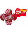 MINI BABYBEL 5 X 20GR. GR.100